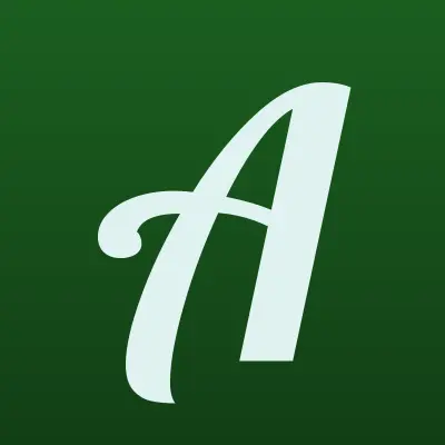 Ак Барс, терминал, лого-визитка